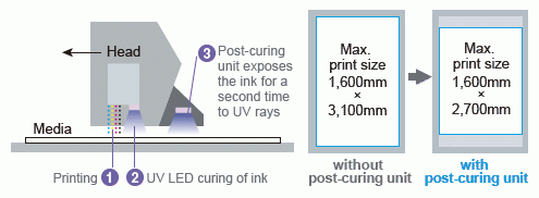 Post-curing unit