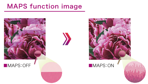 MAPS function image