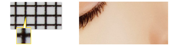 Supports Up to 1800 dpi and 6 colors, including light colors