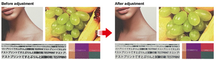 DAS has evolved!　DAS2 (Dot Adjustment System 2)