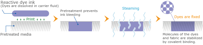 Mechanism of reactive dye ink fixation