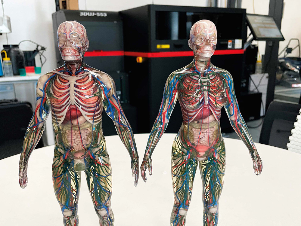 "Life in plastic, it's fantastic: 3D printed anatomical models" won the CDAML an engineering creativity award in 2021